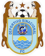 Escudo Binacional