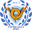 Escudo Daegu II