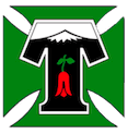 Escudo Deportes Temuco