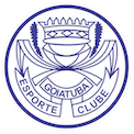 Escudo Goiatuba