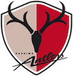 Escudo Kashima Antlers