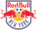 Escudo New York RB III