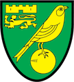 Escudo Norwich City Feminino