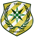 Escudo Samambaia