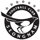 Escudo Seongnam