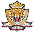 Escudo Tigres-COL